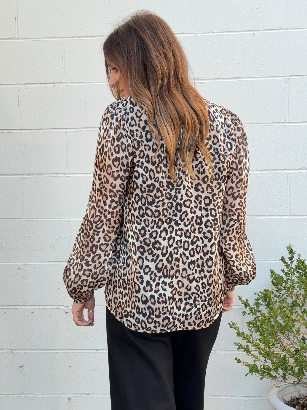 Current Air | Leopard Long Sleeve V-Neck Top | Sweetest Stitch