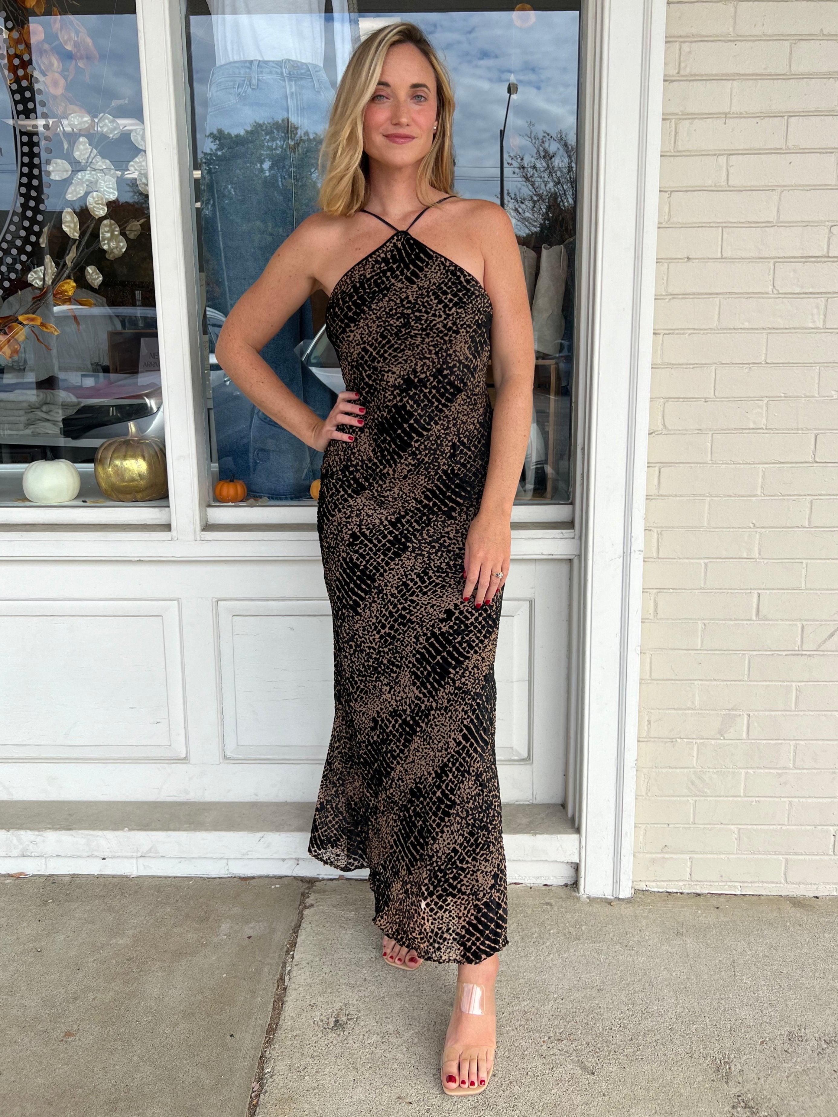 [ASTR The Label] Briotte Velvet Burnout Maxi Dress | Sweetest Stitch
