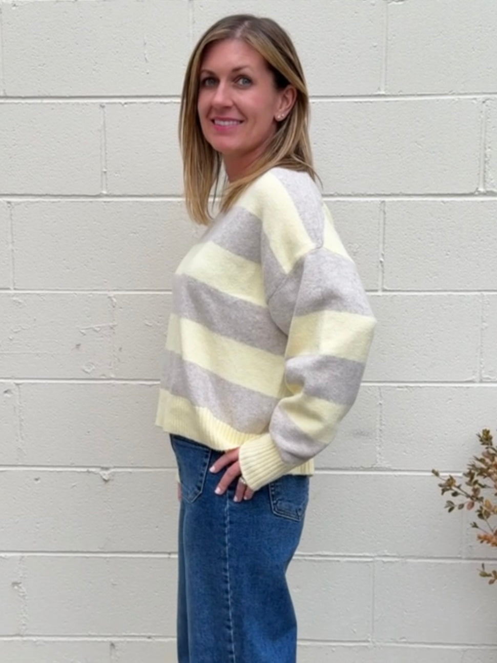 Z Supply | Cirrus Stripe Sweater | Sweetest Stitch